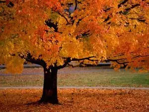 Settembre