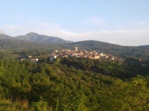 Campora
