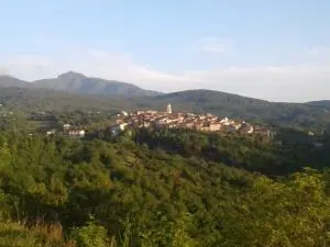 Campora