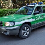 Carabinieri Forestali
