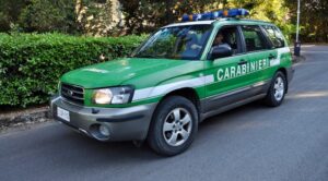 Carabinieri Forestali