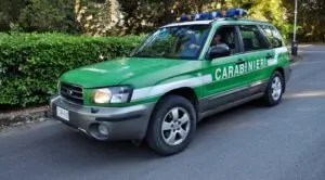 Carabinieri Forestali