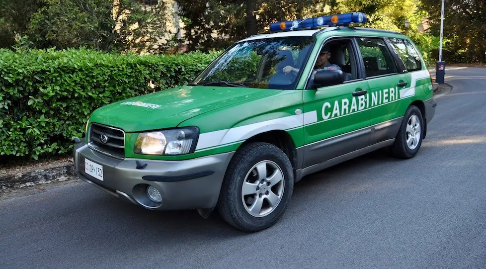 Carabinieri Forestali