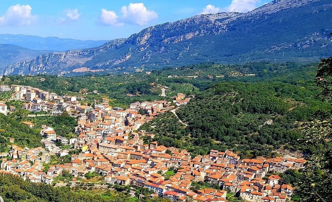 Piaggine