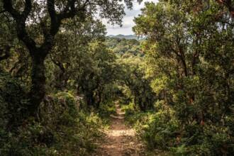 Il Cammino di San Nilo: un viaggio multisensoriale che racchiude un excursus di storia antica ed enogastronomia