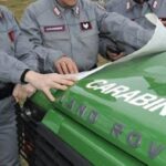 Carabinieri forestali