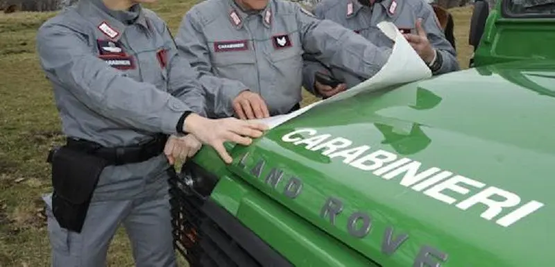 Carabinieri forestali
