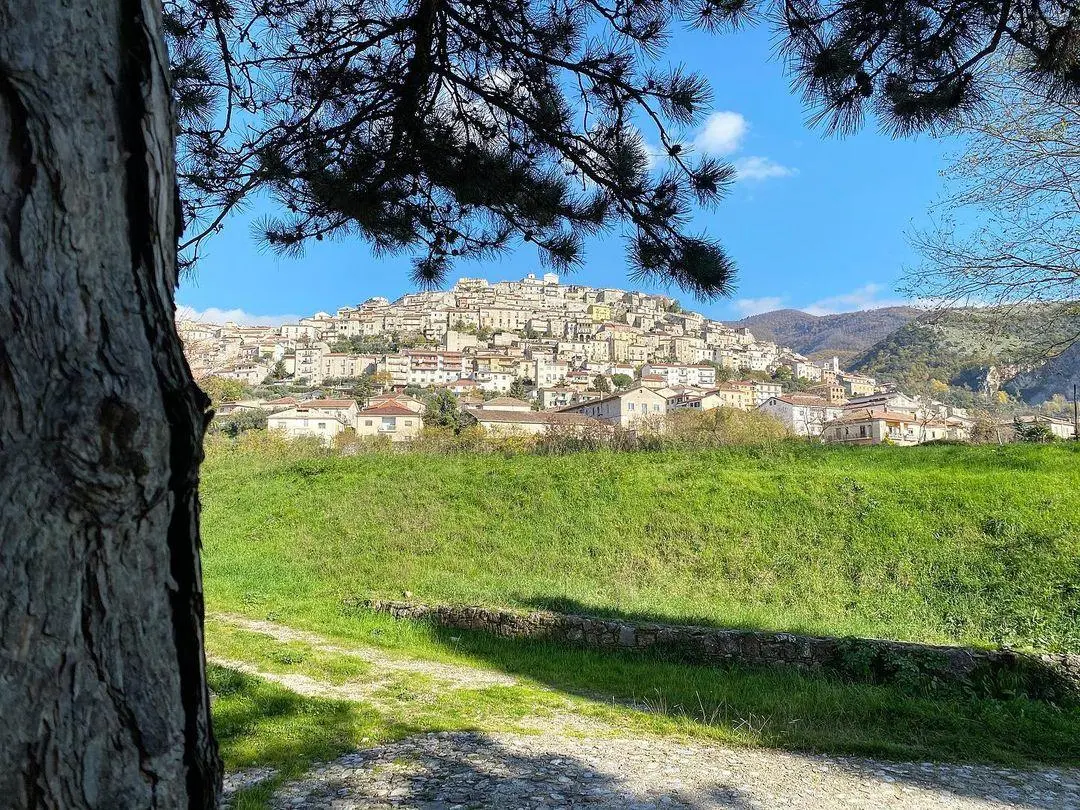 Padula