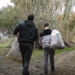 Cilento Clean Up