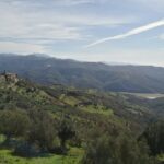 Cicerale panorama