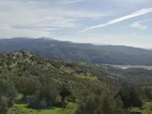 Cicerale panorama