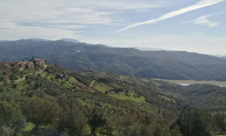 Cicerale panorama