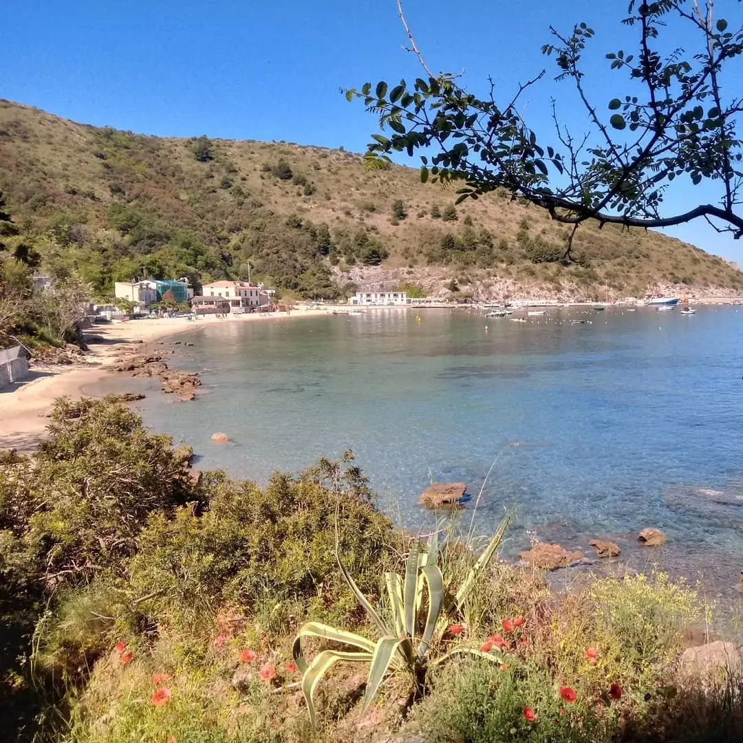 Porto di Palinuro