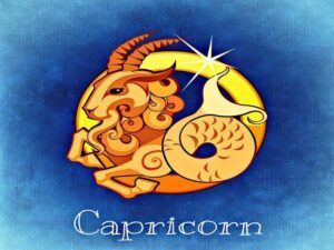 Segno zodiacale capricorno