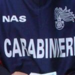 Controlli dei carabinieri del Nas