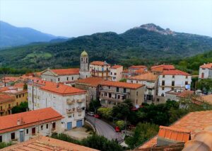 Celle
