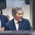 Tommaso Pellegrino