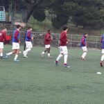 virtus-cilento