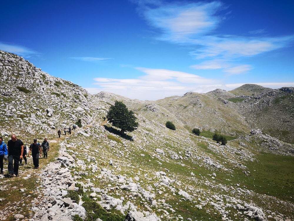 Monte Cervati