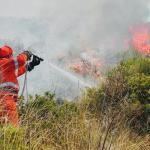 Incendio boschivo