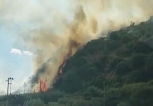 Incendio Velia