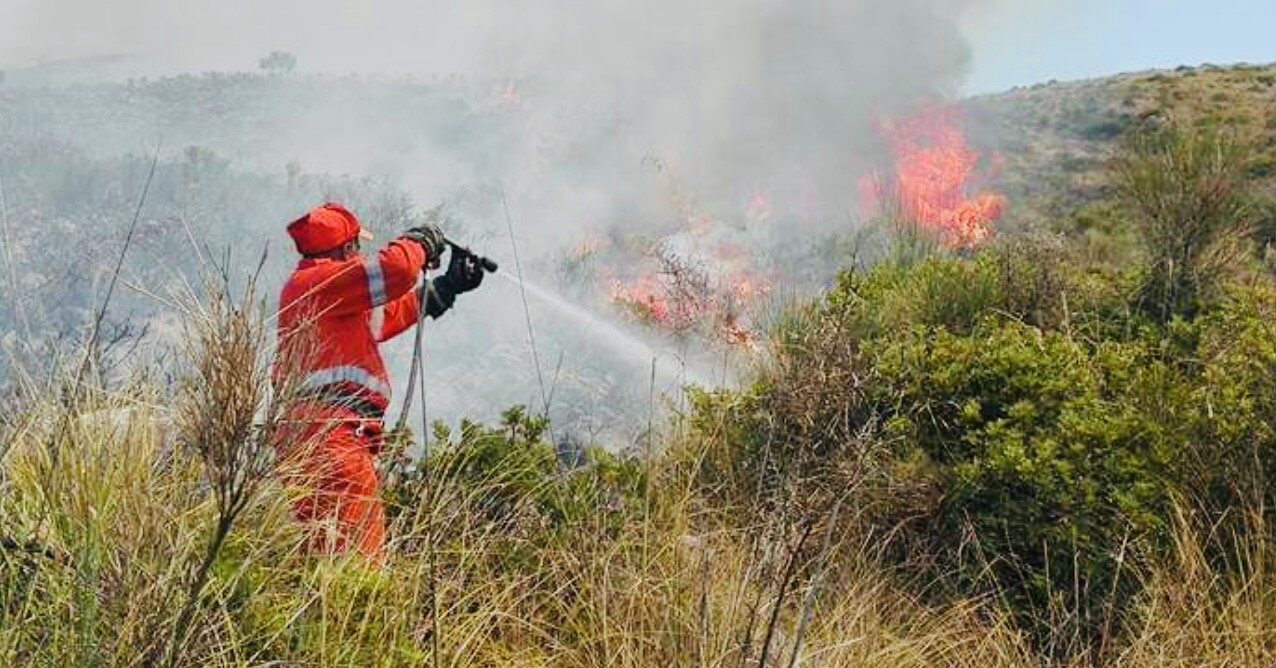 Incendio boschivo