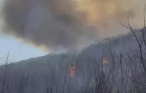 Incendio Camerota
