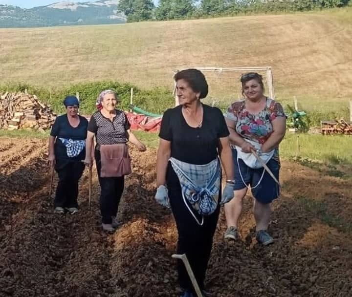 Donne campi Caselle in Pittari