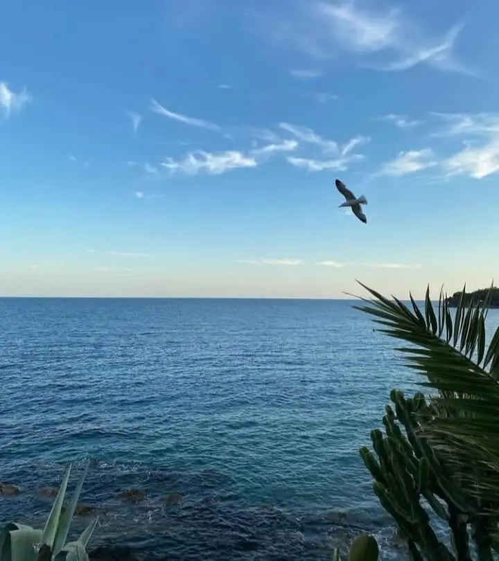 Ogliastro Marina