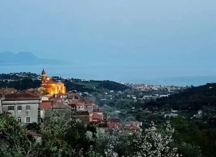 Vibonati