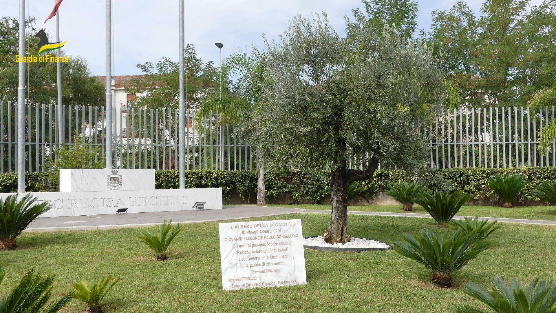 Albero della Legalità Agropoli