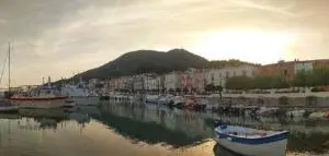 Scario