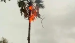 Maltempo Salerno