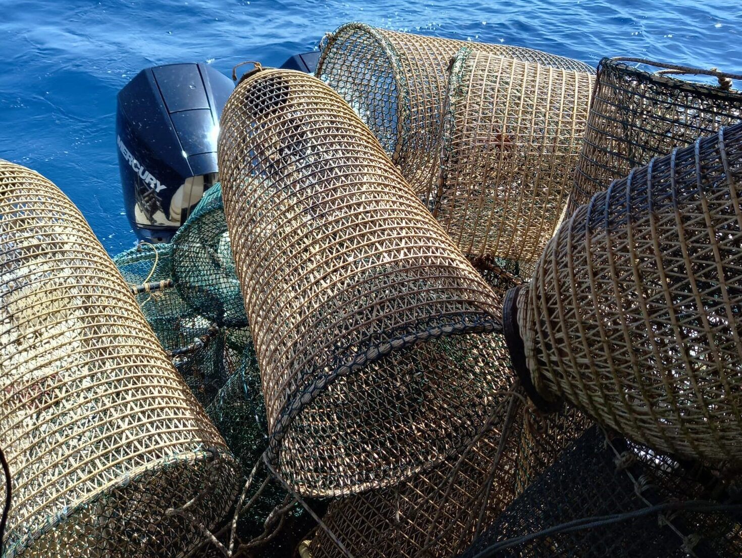 Pesca illegale Agropoli