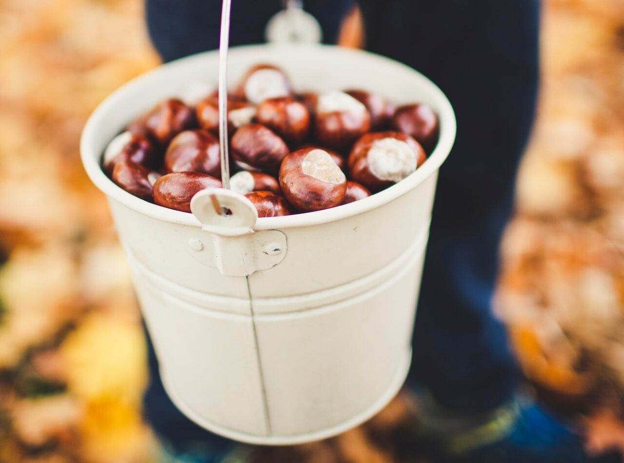 Castagne