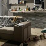 Furto ad Agropoli