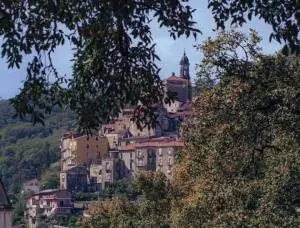 Panorama Vibonati