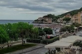 Scario