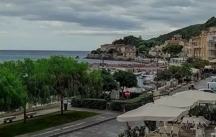 Scario