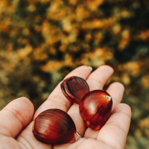 Castagne