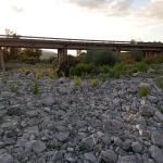 Ponte su Sp440 Laurino - Roscigno