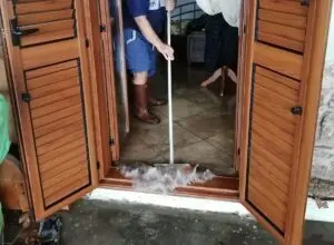 Allagamenti a Capaccio