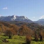 Panorama Bellosguardo