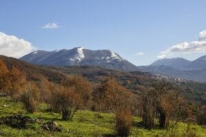 Panorama Bellosguardo