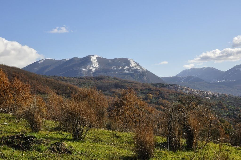 Panorama Bellosguardo