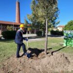 Lavori al Parco Liborio Bonifacio