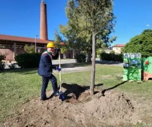 Lavori al Parco Liborio Bonifacio