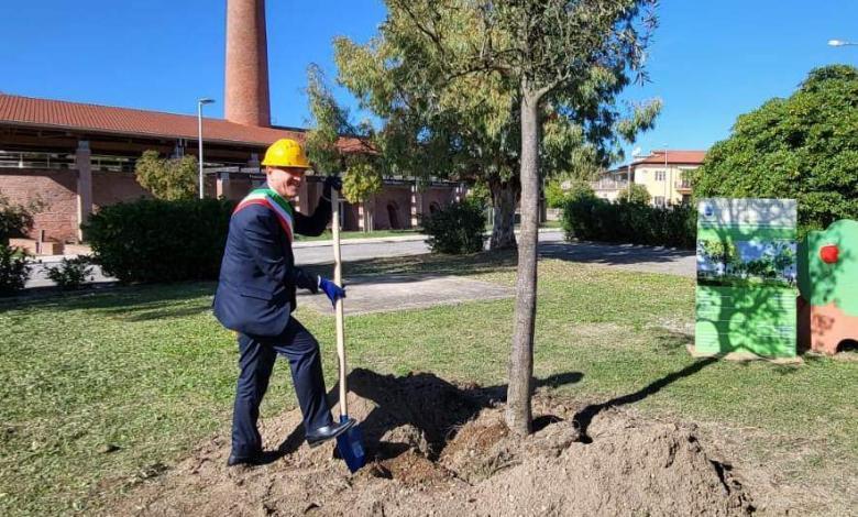 Lavori al Parco Liborio Bonifacio