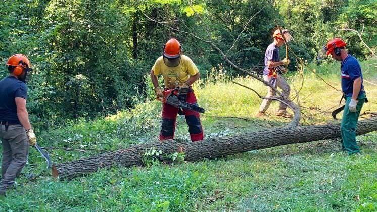 Operai forestali a lavoro