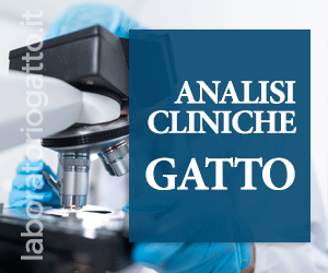 Analisi Cliniche Gatto